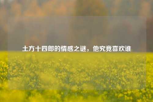 土方十四郎的情感之谜，他究竟喜欢谁