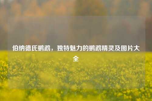 伯纳德氏鹦鹉，独特魅力的鹦鹉精灵及图片大全