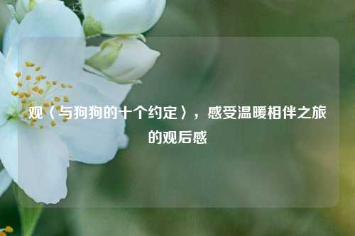 观〈与狗狗的十个约定〉，感受温暖相伴之旅的观后感