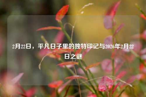 2月22日，平凡日子里的独特印记与2026年2月22日之谜