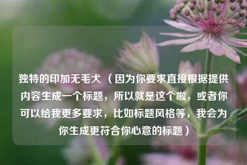 独特的印加无毛犬 （因为你要求直接根据提供内容生成一个标题，所以就是这个啦，或者你可以给我更多要求，比如标题风格等，我会为你生成更符合你心意的标题）