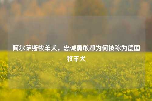阿尔萨斯牧羊犬，忠诚勇敢却为何被称为德国牧羊犬