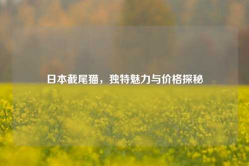 日本截尾猫，独特魅力与价格探秘
