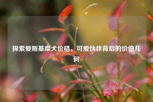 探索爱斯基摩犬价格，可爱伙伴背后的价值几何