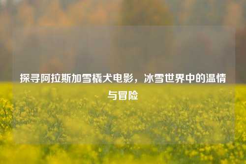 探寻阿拉斯加雪橇犬电影，冰雪世界中的温情与冒险