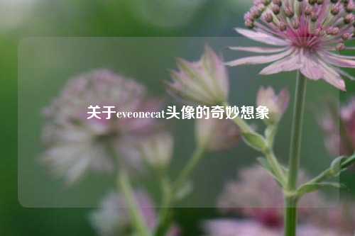 关于eveonecat头像的奇妙想象