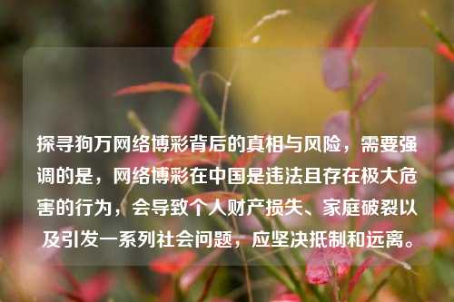 探寻狗万网络博彩背后的真相与风险，需要强调的是，网络博彩在中国是违法且存在极大危害的行为，会导致个人财产损失、家庭破裂以及引发一系列社会问题，应坚决抵制和远离。