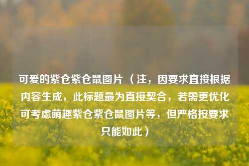 可爱的紫仓紫仓鼠图片 （注，因要求直接根据内容生成，此标题最为直接契合，若需更优化可考虑萌趣紫仓紫仓鼠图片等，但严格按要求只能如此）