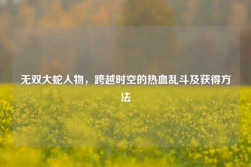 无双大蛇人物，跨越时空的热血乱斗及获得方法