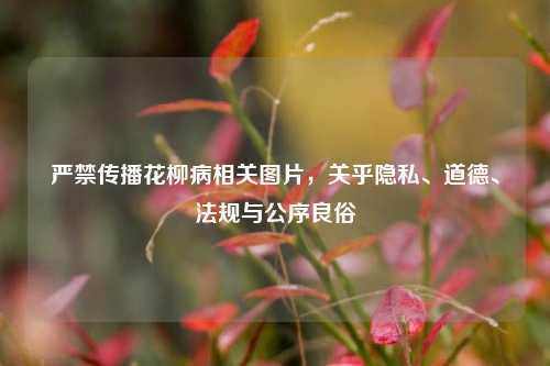 严禁传播花柳病相关图片，关乎隐私、道德、法规与公序良俗