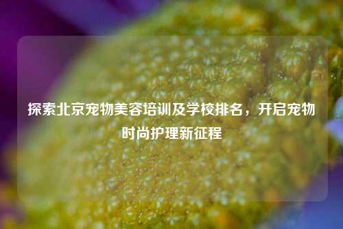 探索北京宠物美容培训及学校排名，开启宠物时尚护理新征程