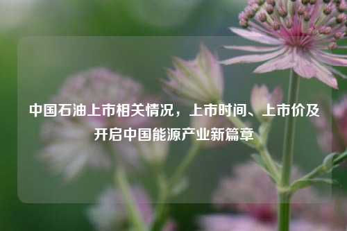 中国石油上市相关情况，上市时间、上市价及开启中国能源产业新篇章