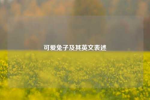 可爱兔子及其英文表述