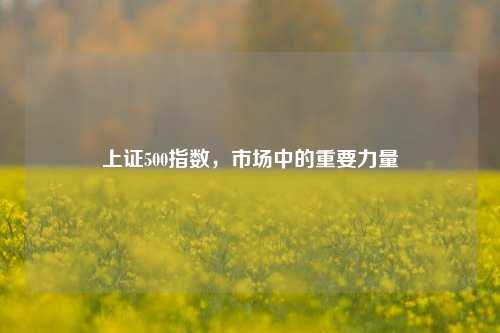 上证500指数，市场中的重要力量