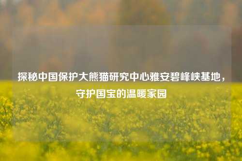 探秘中国保护大熊猫研究中心雅安碧峰峡基地，守护国宝的温暖家园