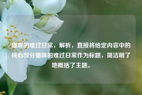 猫咪的难过日常，解析，直接将给定内容中的核心部分猫咪的难过日常作为标题，简洁明了地概括了主题。
