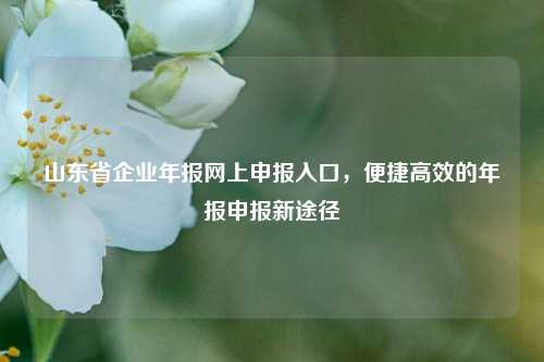 山东省企业年报网上申报入口，便捷高效的年报申报新途径