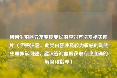 狗狗生殖器异常变硬变长的应对方法及相关图片 （但需注意，此类内容涉及较为敏感的动物生理异常问题，建议咨询兽医获取专业准确的解答和指导）