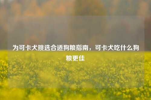 为可卡犬挑选合适狗粮指南，可卡犬吃什么狗粮更佳