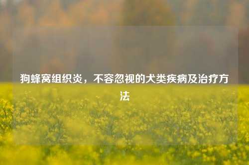 狗蜂窝组织炎，不容忽视的犬类疾病及治疗方法
