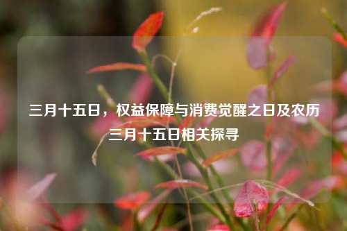 三月十五日，权益保障与消费觉醒之日及农历三月十五日相关探寻