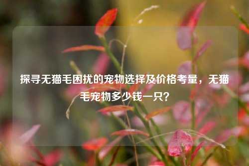 探寻无猫毛困扰的宠物选择及价格考量，无猫毛宠物多少钱一只？
