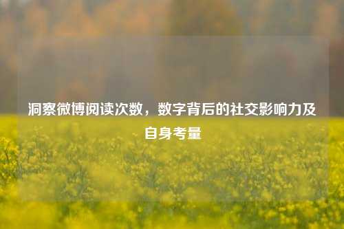 洞察微博阅读次数，数字背后的社交影响力及自身考量