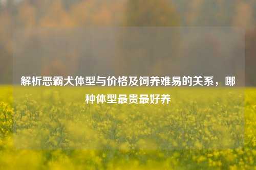解析恶霸犬体型与价格及饲养难易的关系，哪种体型最贵最好养