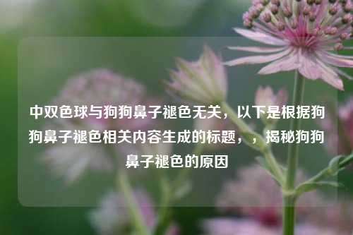 中双色球与狗狗鼻子褪色无关，以下是根据狗狗鼻子褪色相关内容生成的标题，，揭秘狗狗鼻子褪色的原因