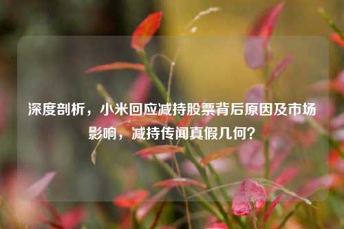 深度剖析，小米回应减持股票背后原因及市场影响，减持传闻真假几何？