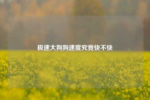 极速大狗狗速度究竟快不快