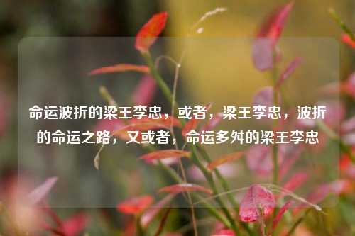 命运波折的梁王李忠，或者，梁王李忠，波折的命运之路，又或者，命运多舛的梁王李忠
