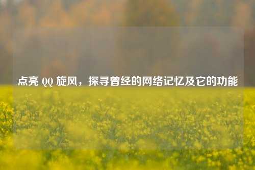 点亮 QQ 旋风，探寻曾经的网络记忆及它的功能