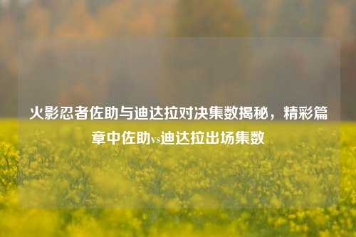 火影忍者佐助与迪达拉对决集数揭秘，精彩篇章中佐助vs迪达拉出场集数