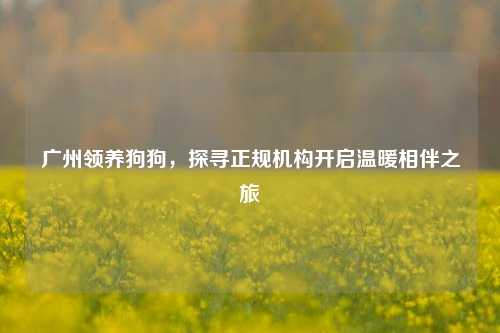 广州领养狗狗，探寻正规机构开启温暖相伴之旅