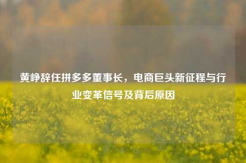 黄峥辞任拼多多董事长，电商巨头新征程与行业变革信号及背后原因