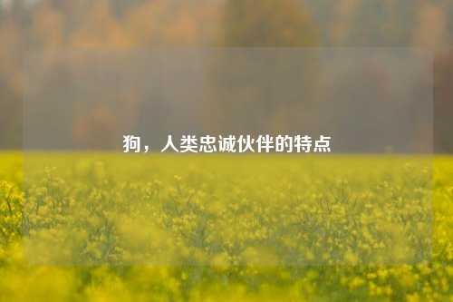 狗，人类忠诚伙伴的特点