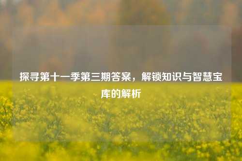 探寻第十一季第三期答案，解锁知识与智慧宝库的解析