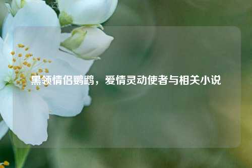 黑领情侣鹦鹉，爱情灵动使者与相关小说