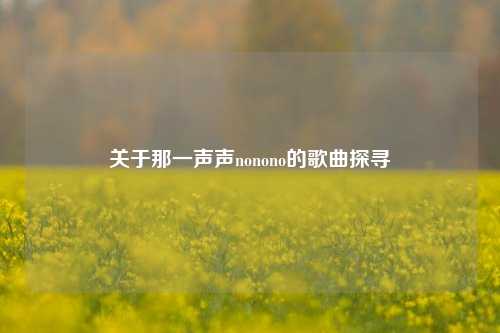 关于那一声声nonono的歌曲探寻