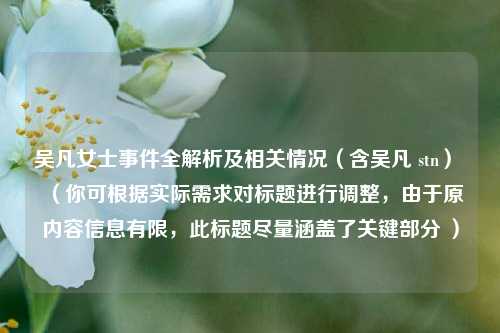 吴凡女士事件全解析及相关情况（含吴凡 stn） （你可根据实际需求对标题进行调整，由于原内容信息有限，此标题尽量涵盖了关键部分 ）