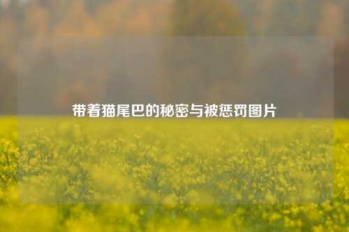 带着猫尾巴的秘密与被惩罚图片