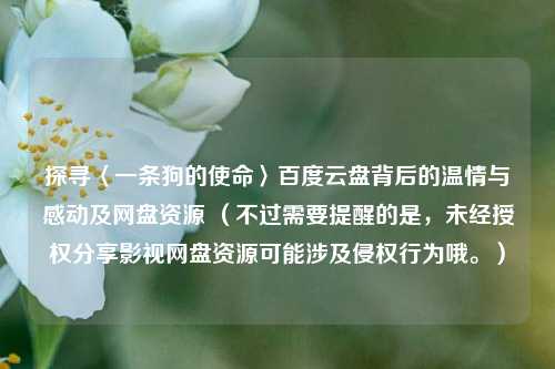 探寻〈一条狗的使命〉百度云盘背后的温情与感动及网盘资源 （不过需要提醒的是，未经授权分享影视网盘资源可能涉及侵权行为哦。）
