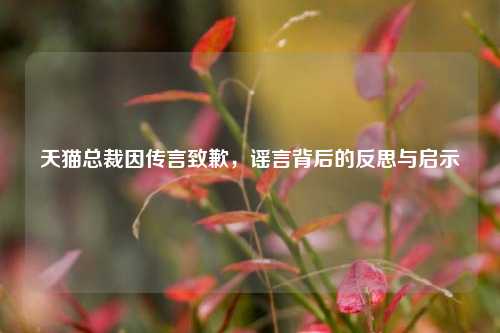 天猫总裁因传言致歉，谣言背后的反思与启示
