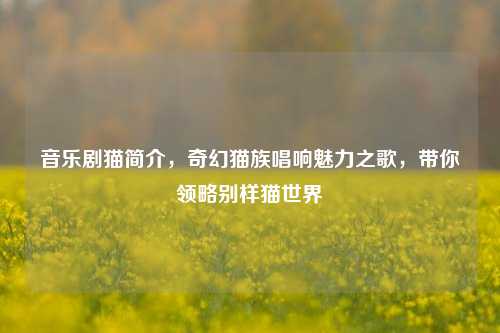 音乐剧猫简介，奇幻猫族唱响魅力之歌，带你领略别样猫世界