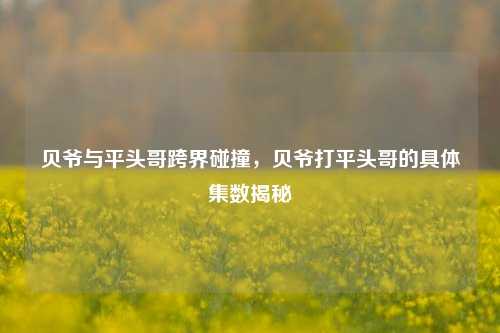 贝爷与平头哥跨界碰撞，贝爷打平头哥的具体集数揭秘