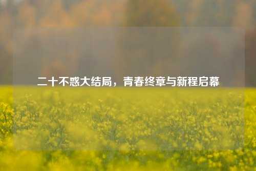 二十不惑大结局，青春终章与新程启幕