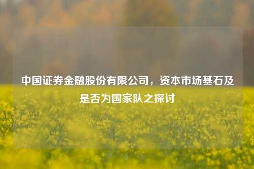 中国证券金融股份有限公司，资本市场基石及是否为国家队之探讨