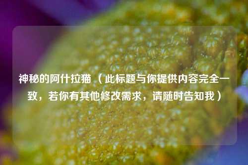 神秘的阿什拉猫 （此标题与你提供内容完全一致，若你有其他修改需求，请随时告知我）