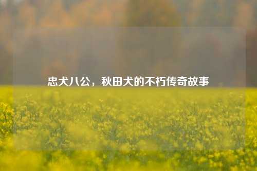 忠犬八公，秋田犬的不朽传奇故事